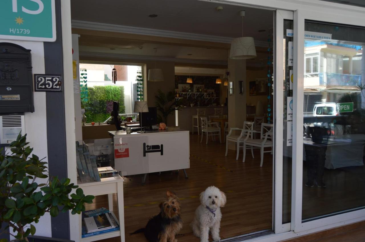Hostal Mar Del Plata (Adults Only) S'Arenal Dış mekan fotoğraf